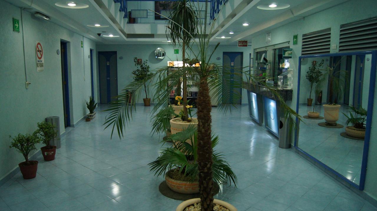Hotel Muy (Adults Only) Мексико Сити Екстериор снимка